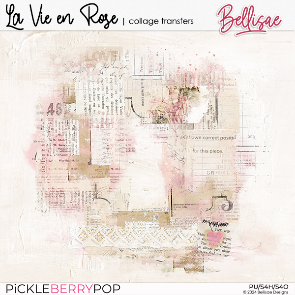 LA VIE EN ROSE | collage transfers by Bellisae