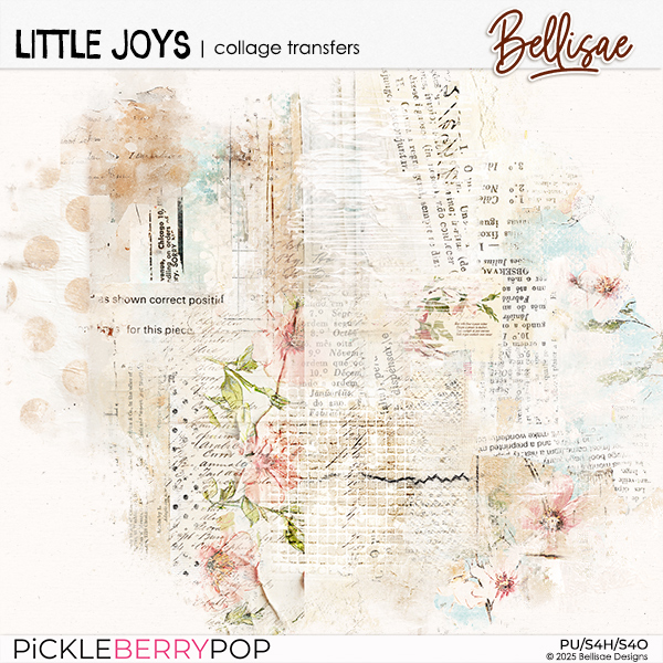 LITTLE JOYS | collage transfers by Bellisae