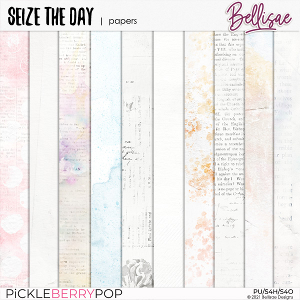 SEIZE THE DAY | papers by Bellisae