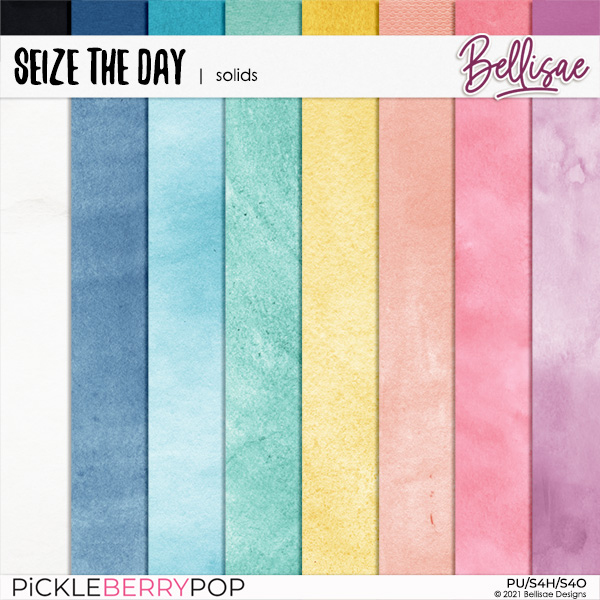 SEIZE THE DAY | solids by Bellisae