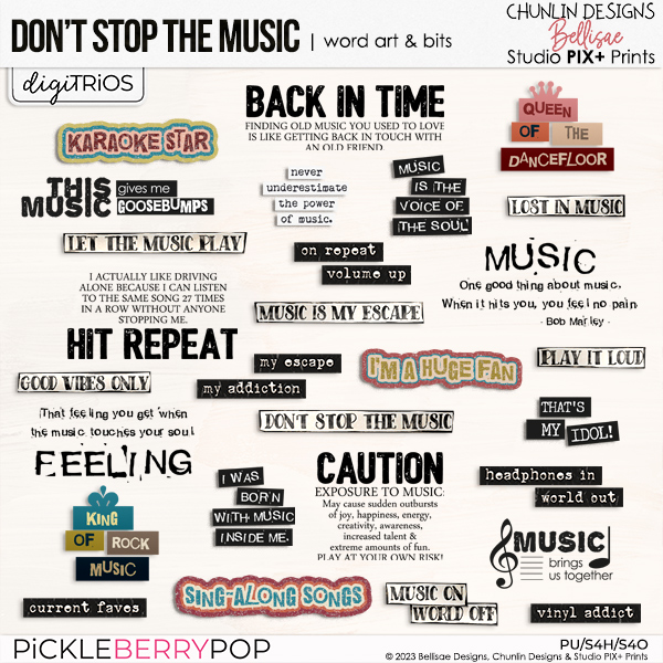 DON'T STOP THE MUSIC TRiO | word art & bits