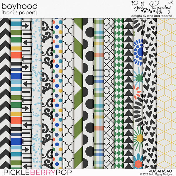 Boyhood Bonus Papers