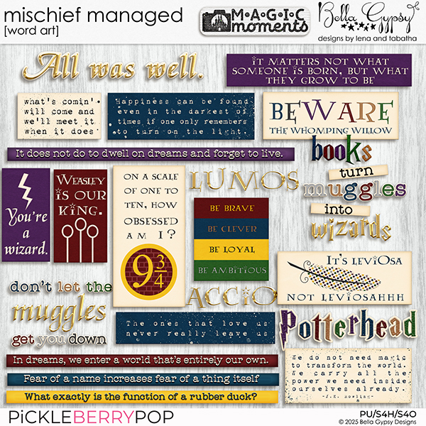 Magic Moments: Mischief Managed Word Art