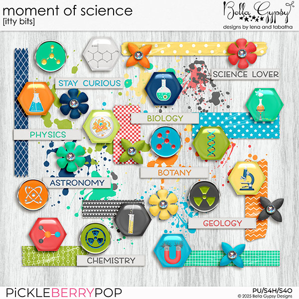 Moment of Science Itty Bits