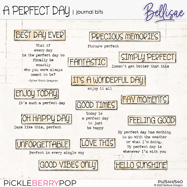 A PERFECT DAY | journal bits by Bellisae