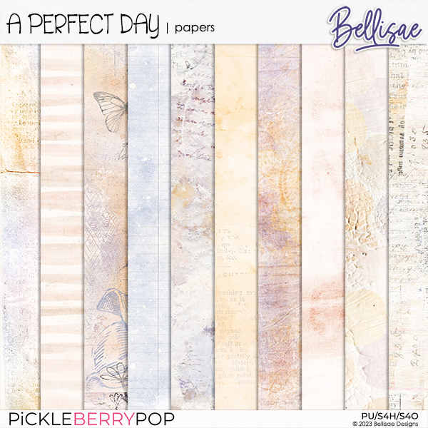 A PERFECT DAY | papers by Bellisae