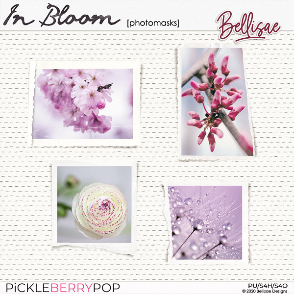 IN BLOOM | photomasks by Bellisae