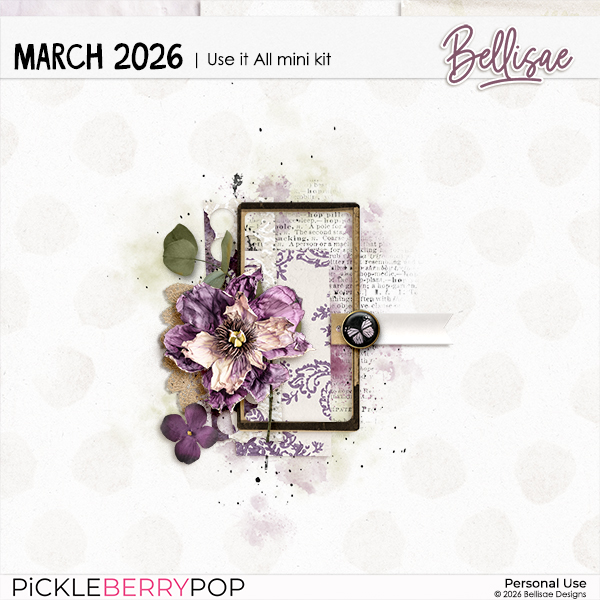 MARCH 2026 Use It All | mini kit by Bellisae