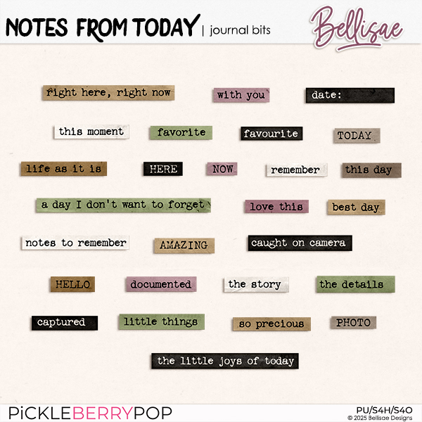 NOTES FROM TODAY | journal bits by Bellisae