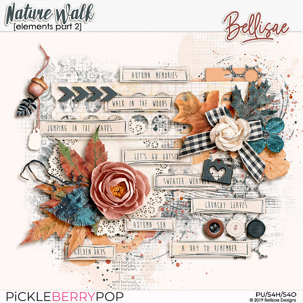 https://pickleberrypop.com/shop/NATURE-WALK-elements-part-2-by-Bellisae.html