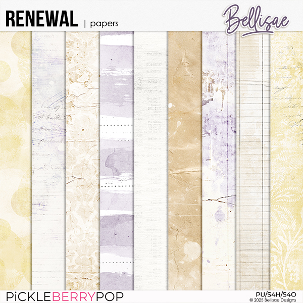 RENEWAL | papers by Bellisae