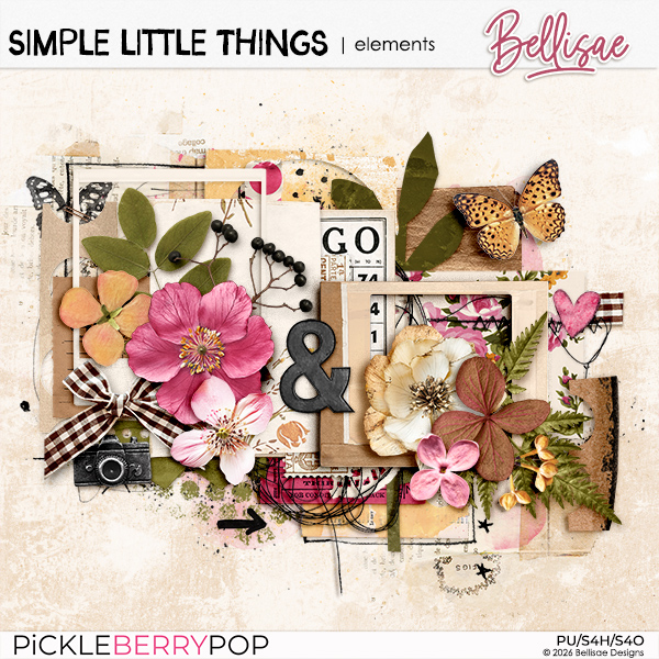 SIMPLE LITTLE THINGS | elements by Bellisae