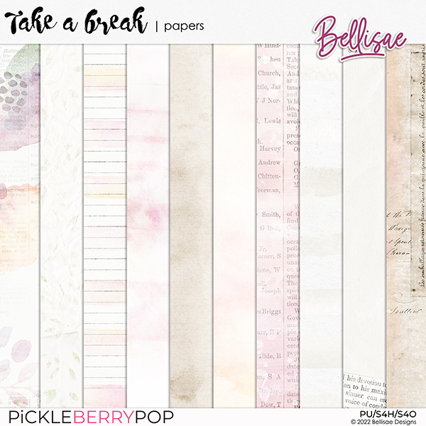 TAKE A BREAK | papers by Bellisae