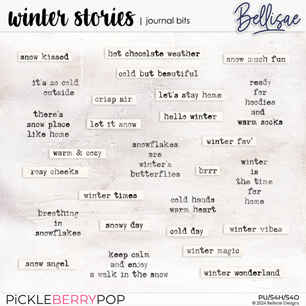 WINTER STORIES | journal bits by Bellisae