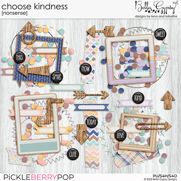 Choose Kindness Nonsense