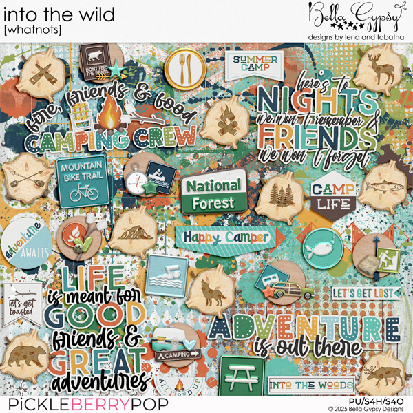 Into The Wild Whatnots
