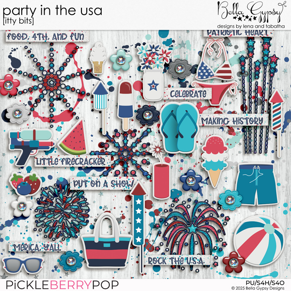 Party In The USA Itty Bits