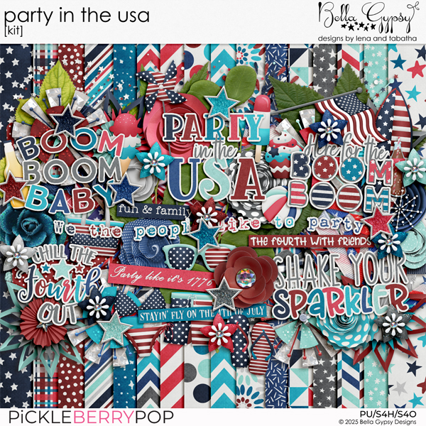 Party In The USA Kit