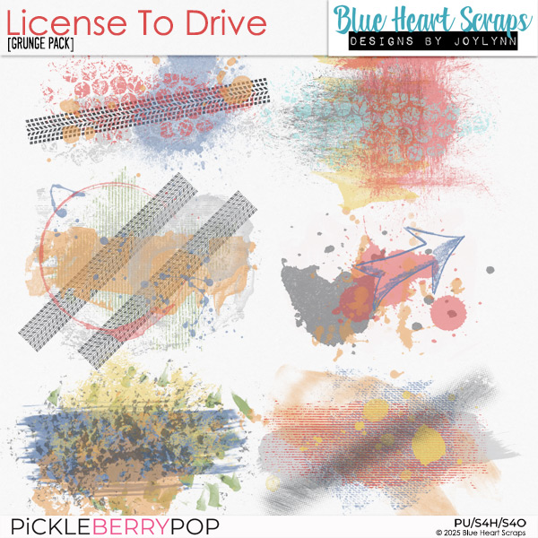 License To Drive Grunge Pack