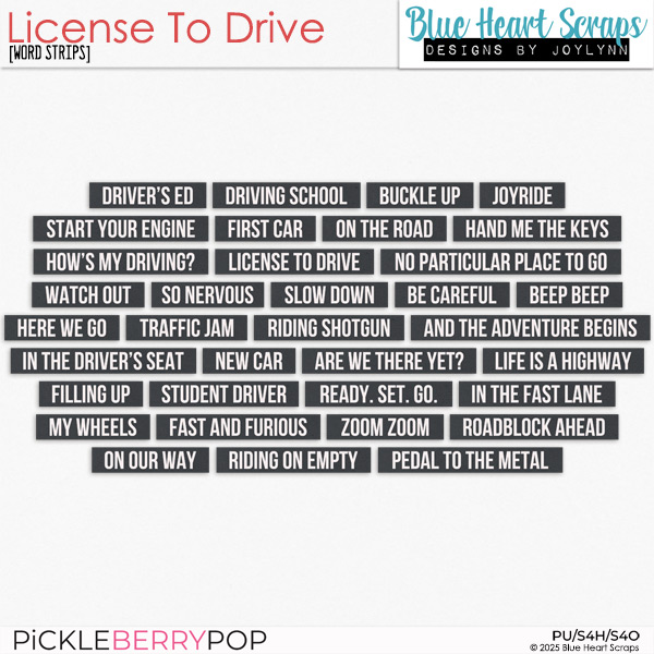 License To Drive Word Strips