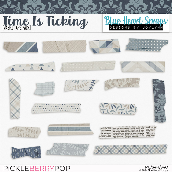 Time Is Ticking Washi Pack