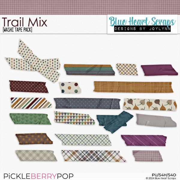 Trail Mix Washi Tape Pack