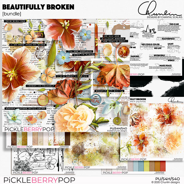 Beautifully broken - bundle