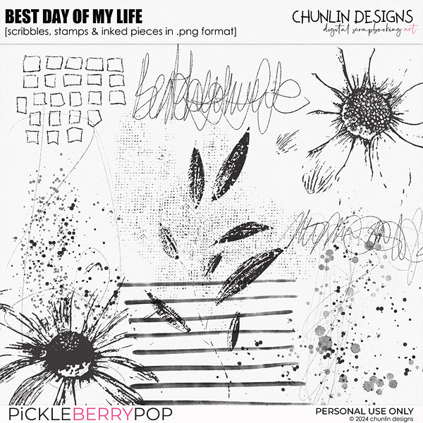 Best day of my life - scribbles, stamps & inked pieces in .png format