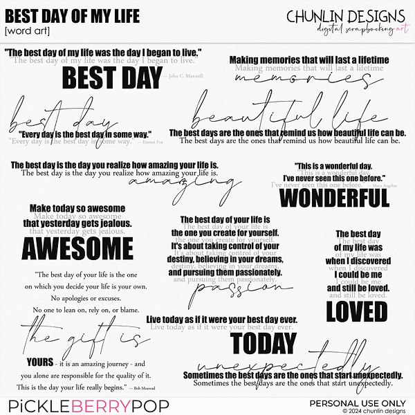 Best day of my life - word art 