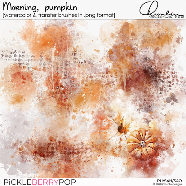 Morning, pumpkin - watercolor & transfer brushes