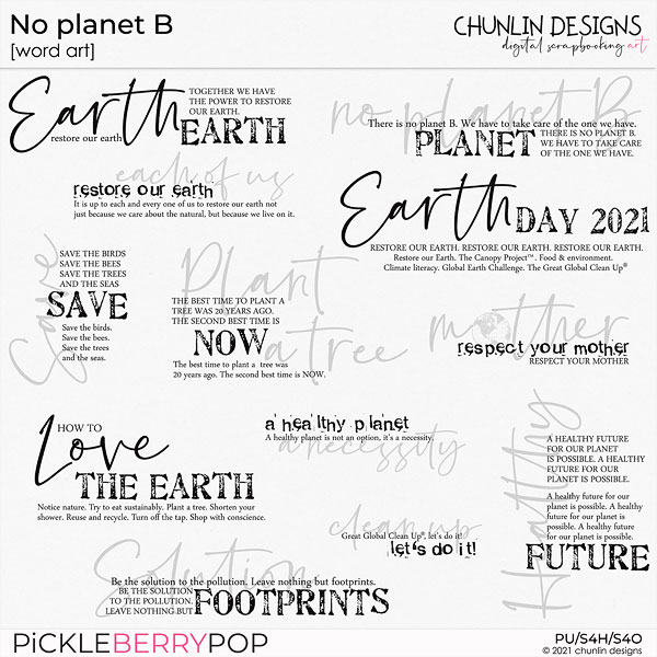 No planet B  - word art