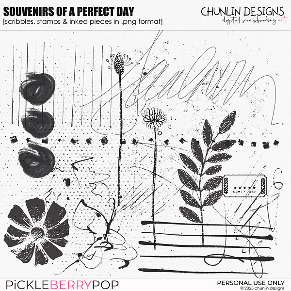 Souvenirs Of A Perfect Day - scribbles, stamps & inked pieces in .png format