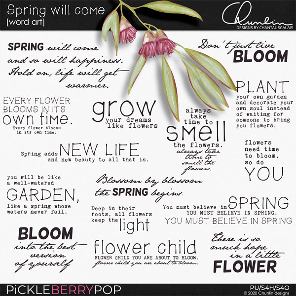 Spring will come - word art