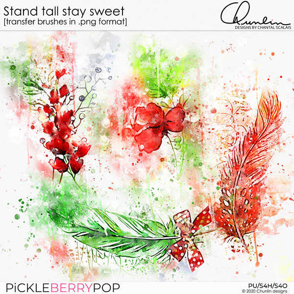 Stand tall stay sweet - transfer brushes 