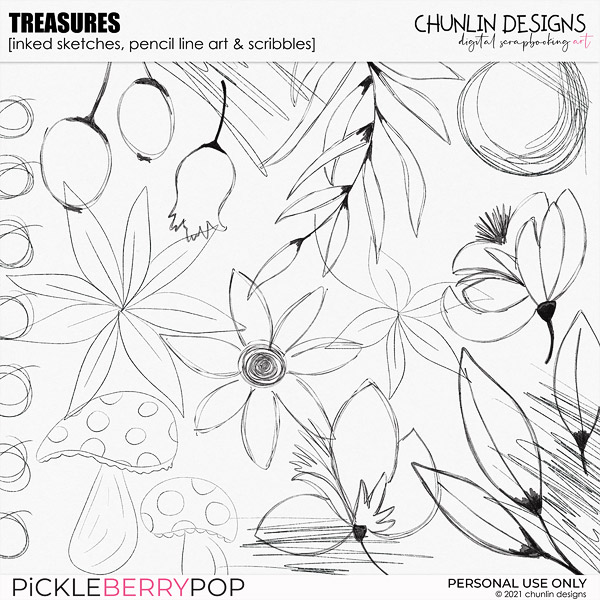 Treasures - inked sketches, pencil line art & scribbles in .png format