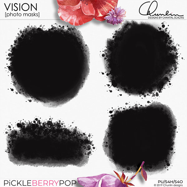 VISION - photo masks