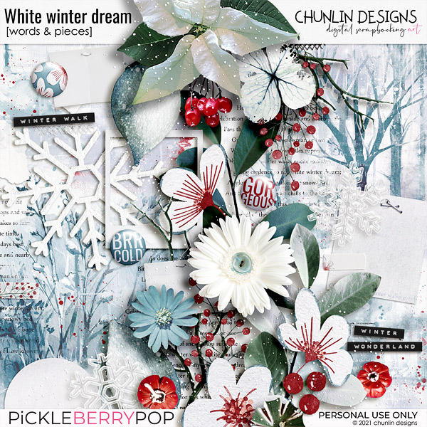 White winter dream - words & pieces