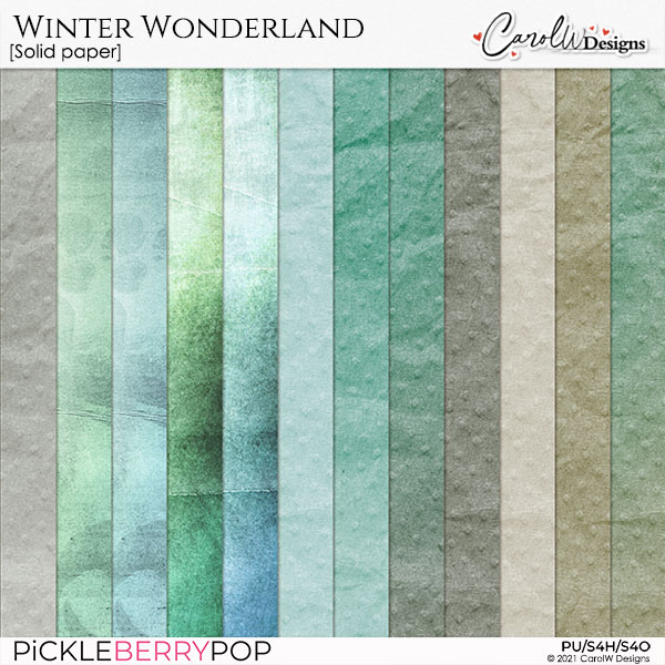 Winter Wonderland-Solid paper