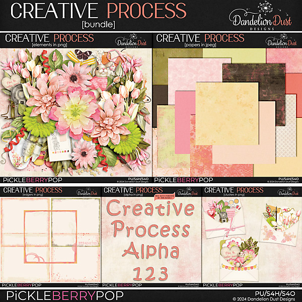 Creative Process: Bundle