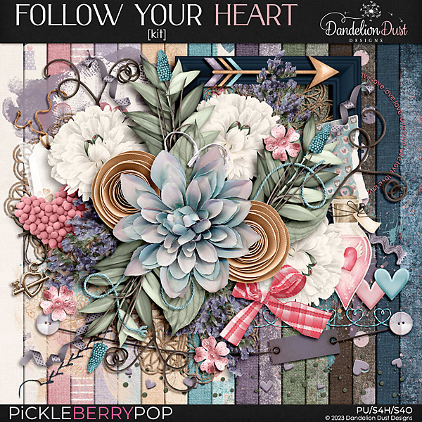 Follow Your Heart: Kit