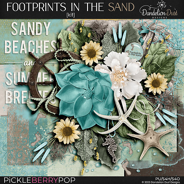 Footprints In The Sand: Kit