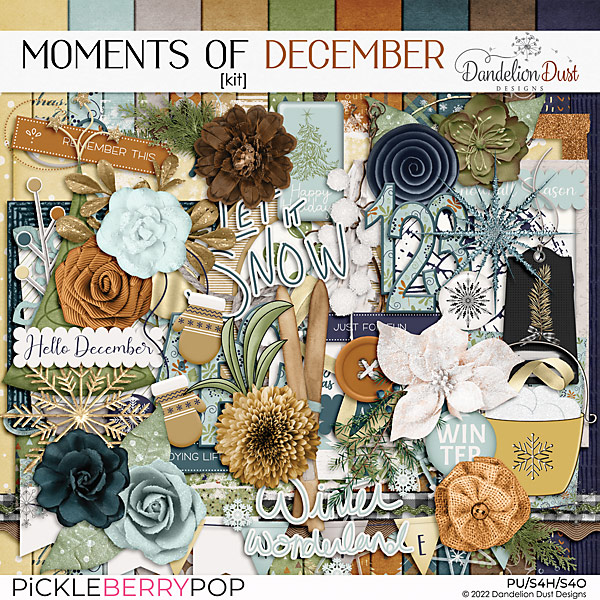 Moments Of December: Kit