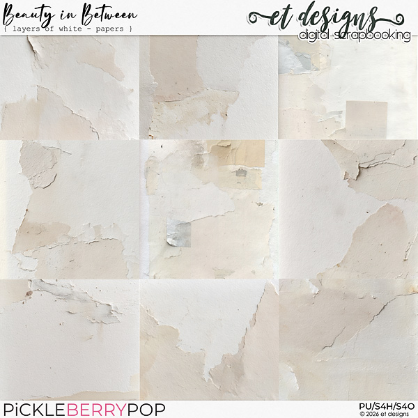 Beauty in Between Papers - Layers of White by et designs