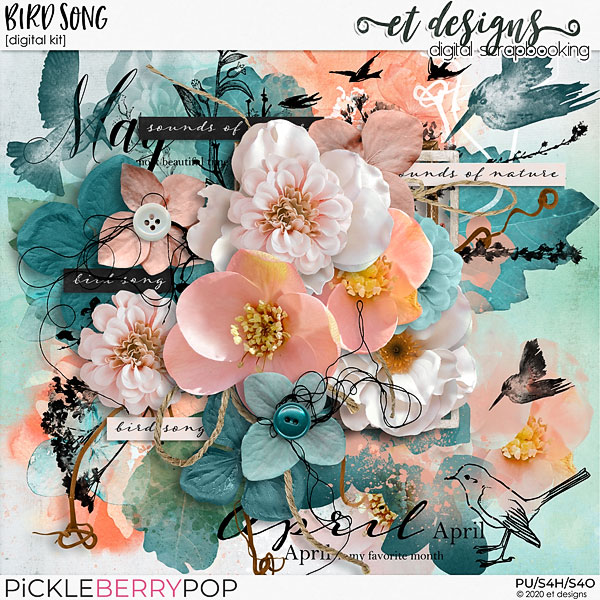 Bird Song Kit & Solids