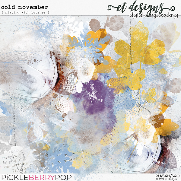 Cold November Playing with Brushes by et designs