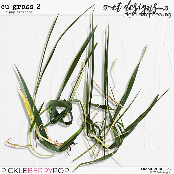 CU Grass 2 by et designs