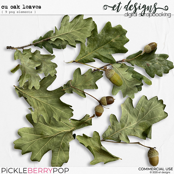 CU Oak Leaves 