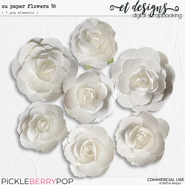 CU Paper Flowers 18 by et designs