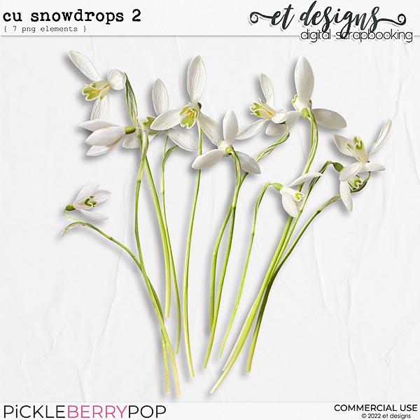 CU Snowdrops 2 by et designs