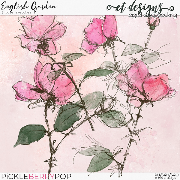 English Garden Sketches by et designs